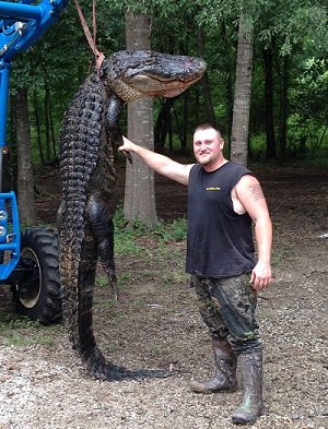 william alligator hunt 2014